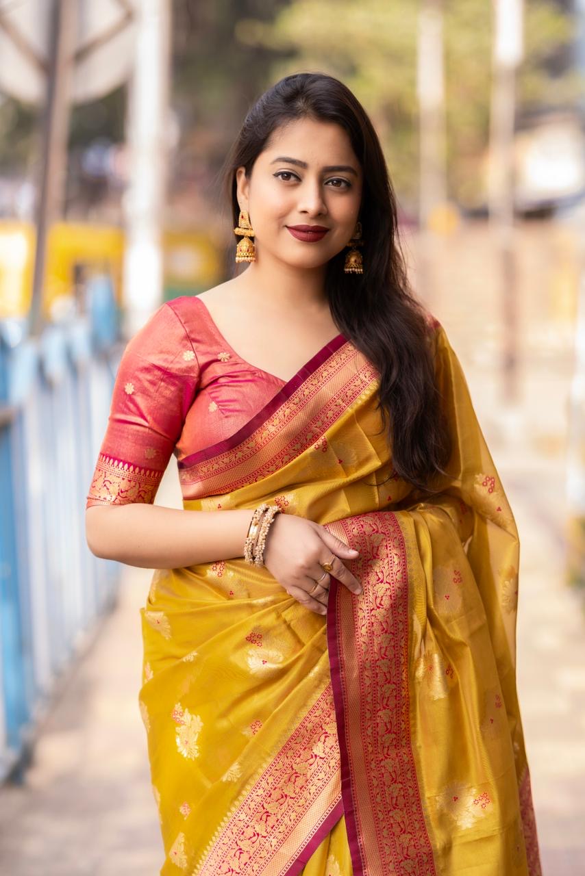 Pure Chanderi Sarees