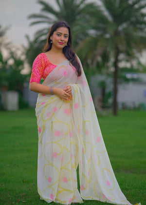 Pure chiffon hand painted saree.
